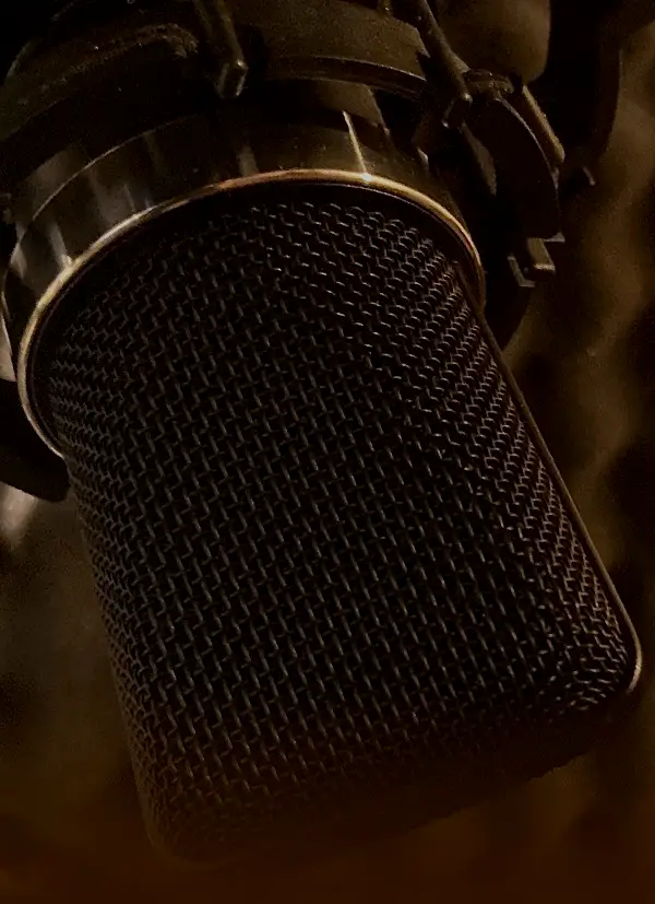 TLM 102 Neumann Mikrofon